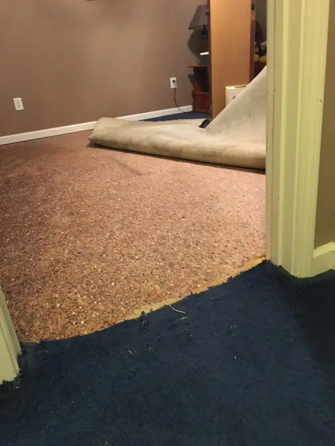 Carpet pad removal revealing water damage during Drying & Dehumidification in Catonsville