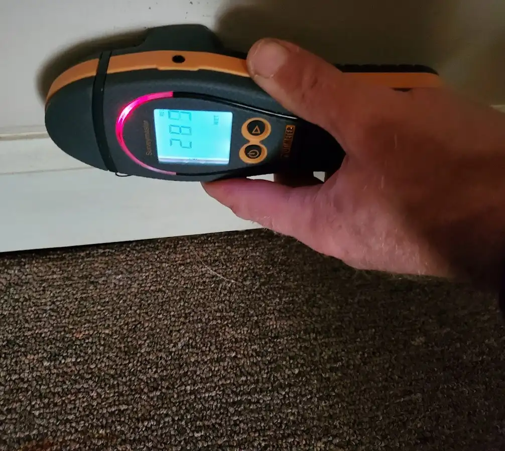 Moisture detection at baseboard during Burst Pipe Cleanup in Catonsville